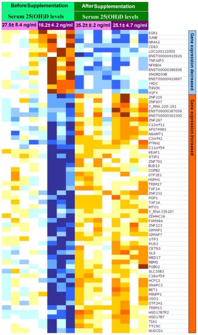 Gene xpression vitamind