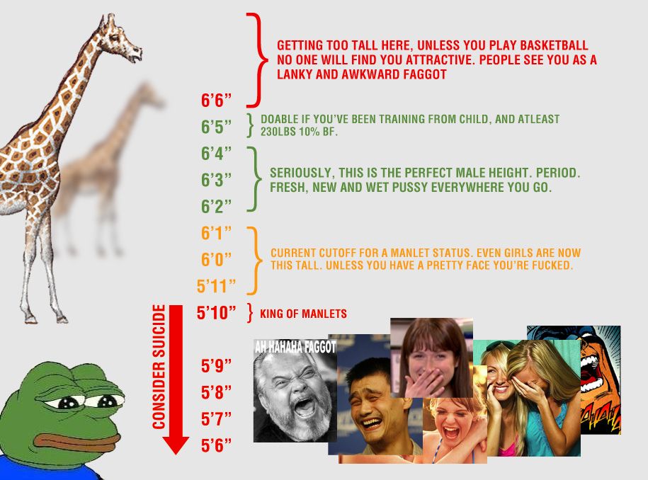 0B41E4ED 33BB 460E BA60 779313B1A7E4