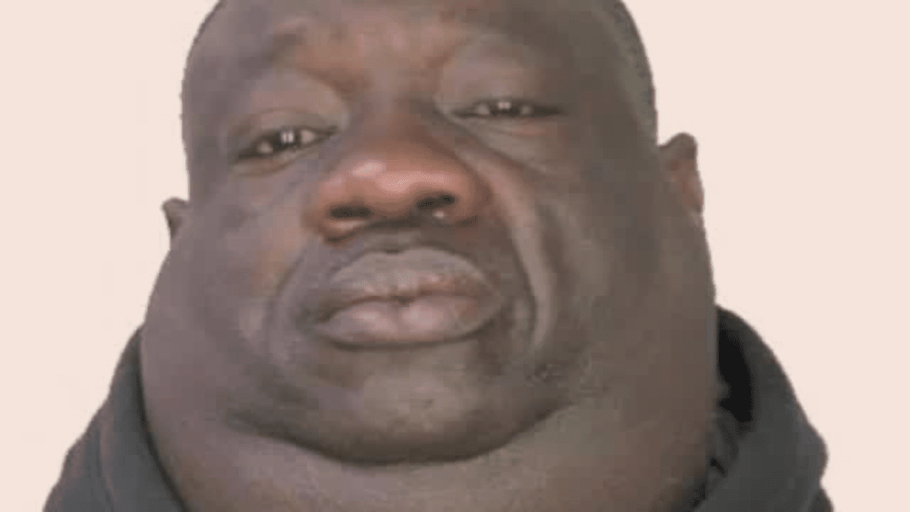 1543080009928 1543080009928