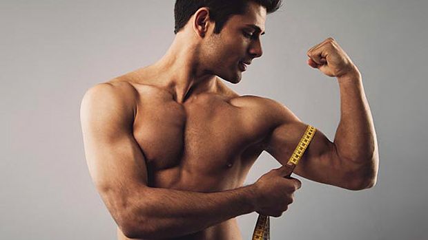 The Truth About Bodybulding Arm Measurements The Truth About Bodybulding Arm Measurements