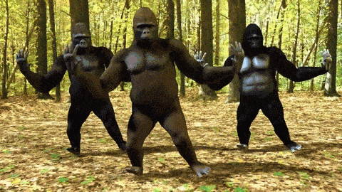 Giphy 8