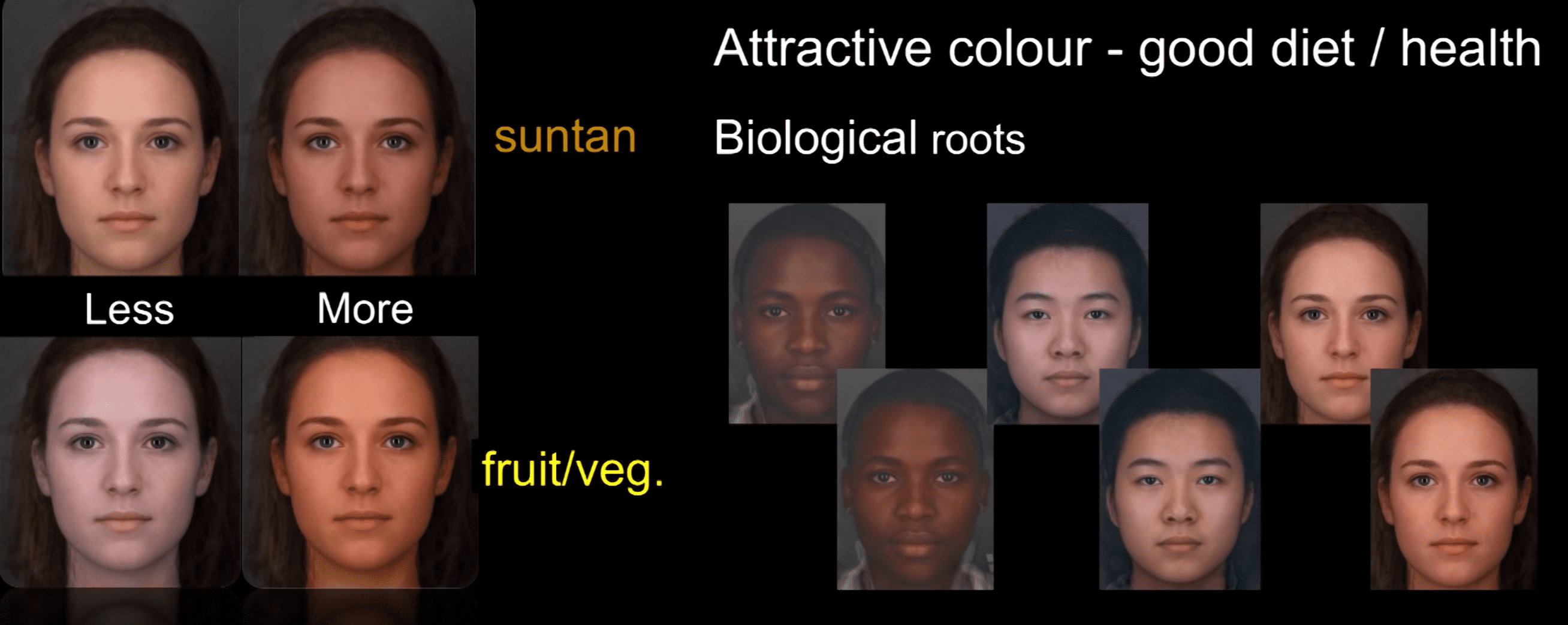 1548196602219