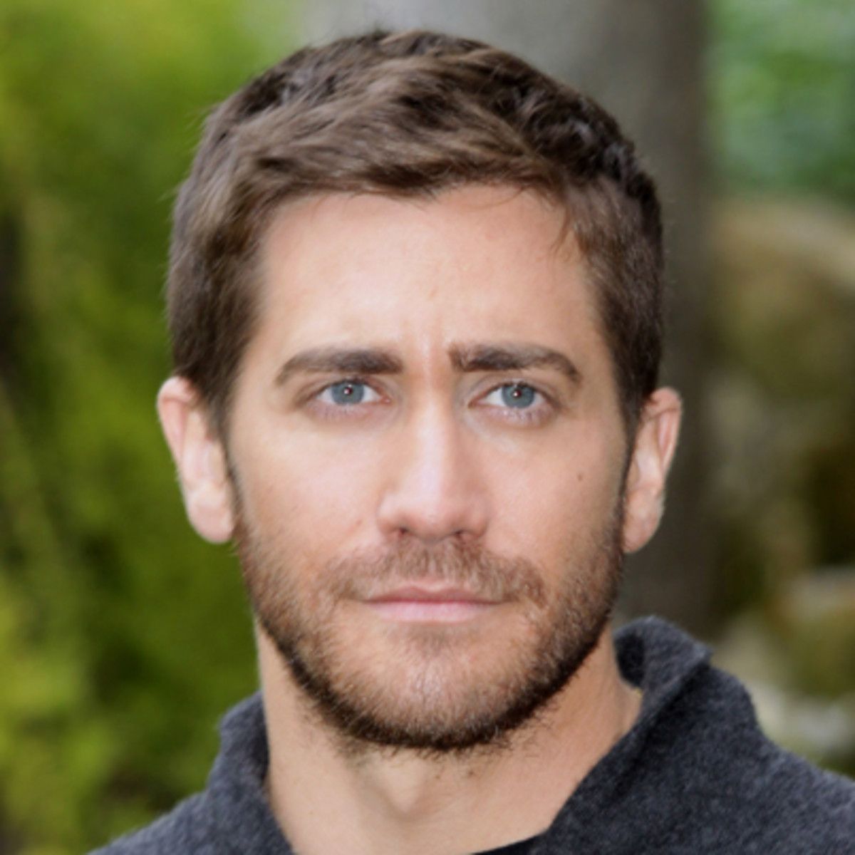 Jake gyllenhaal 16242387 1 402