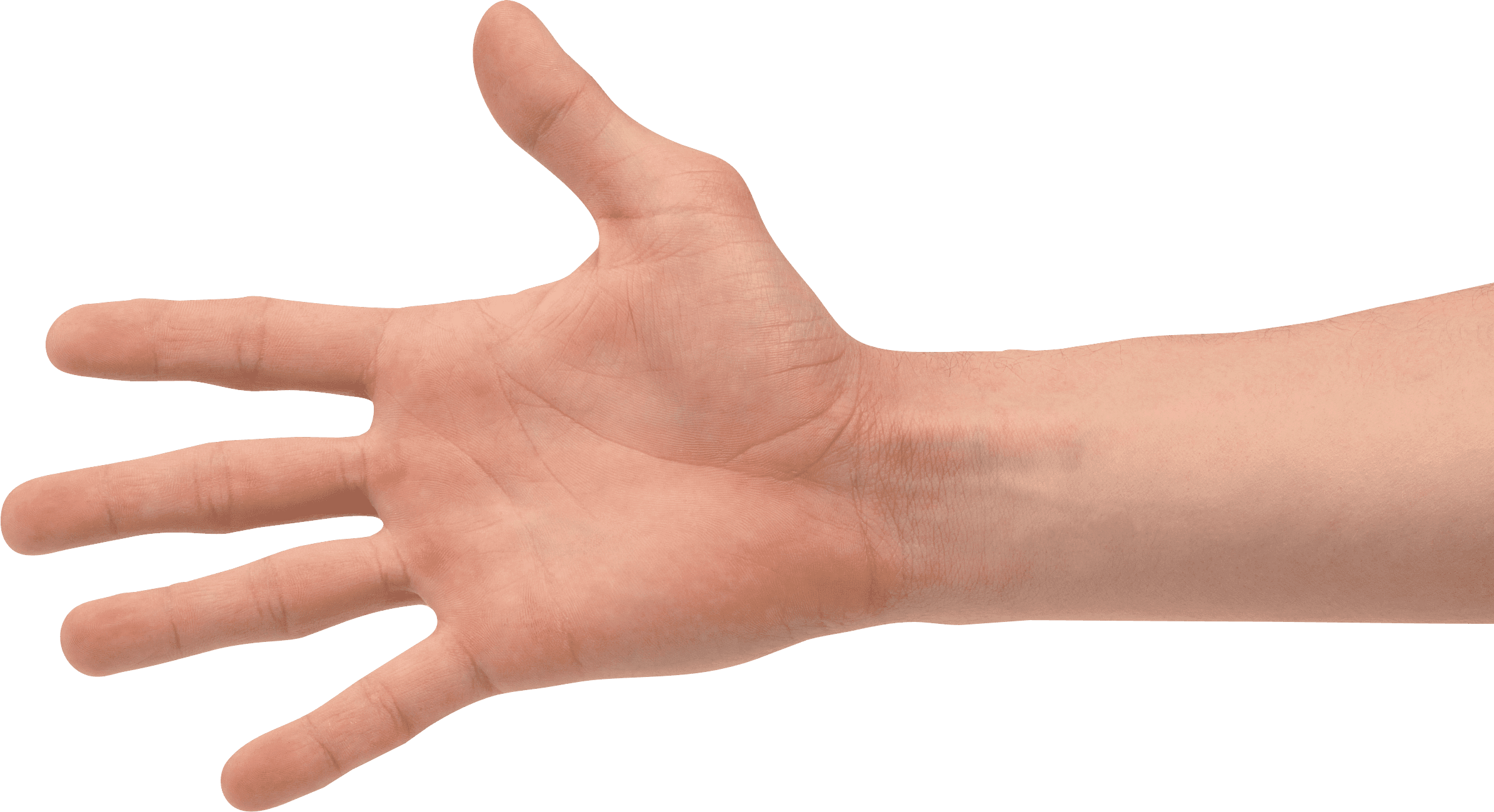 1549282333501