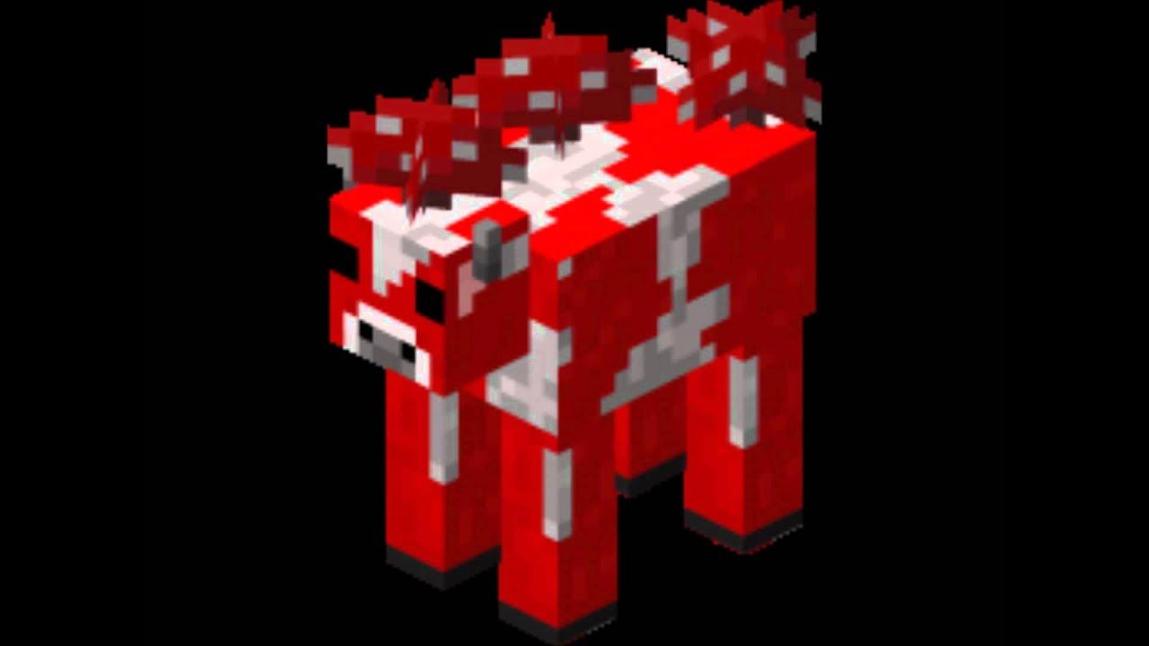 Maxresdefault 4