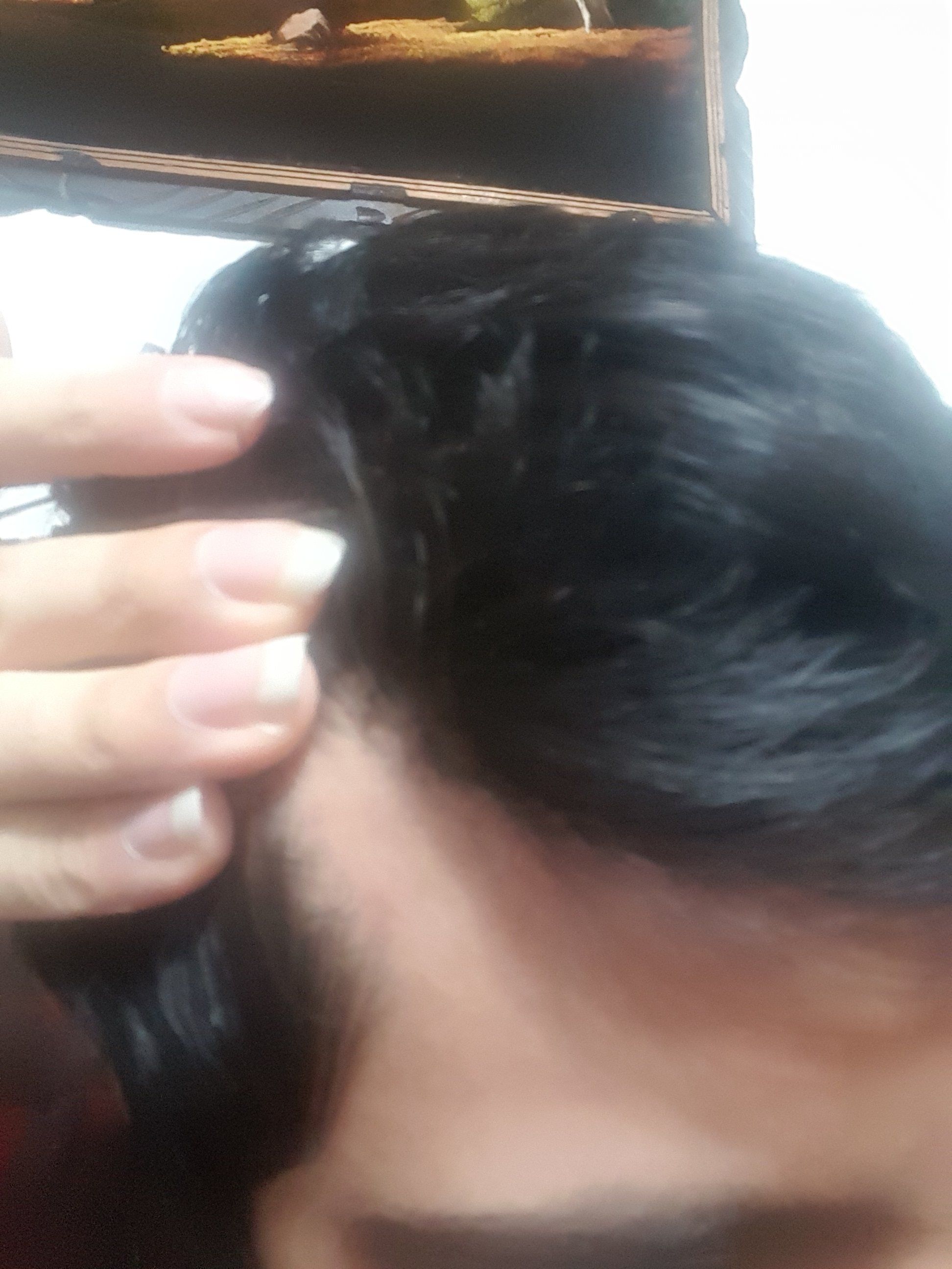 20190216 224721