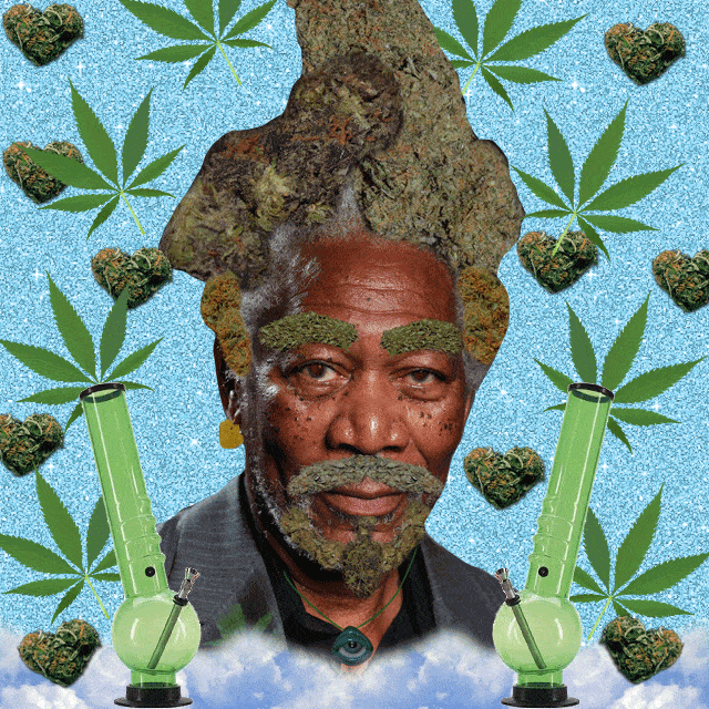 Giphy 29