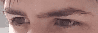 26447 26447