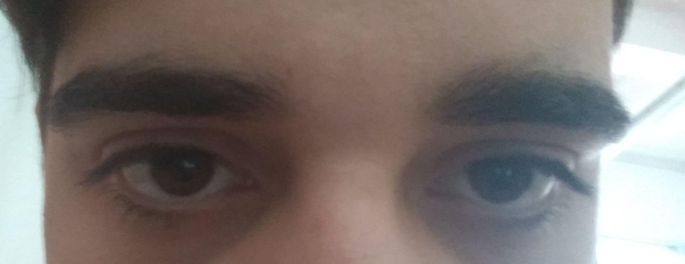 27023