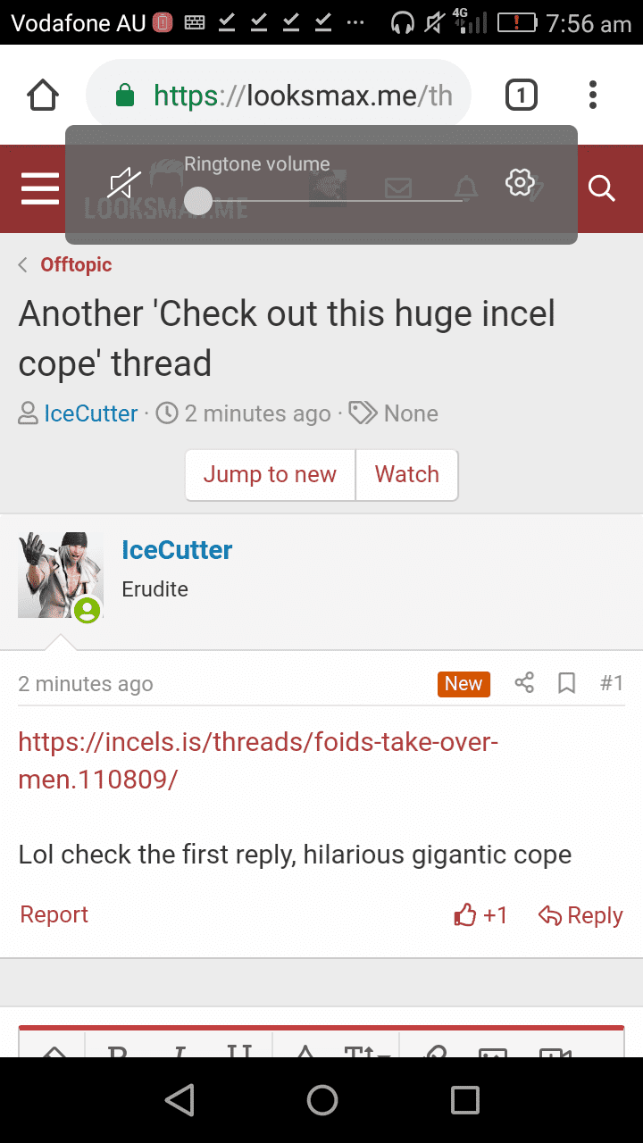 27412