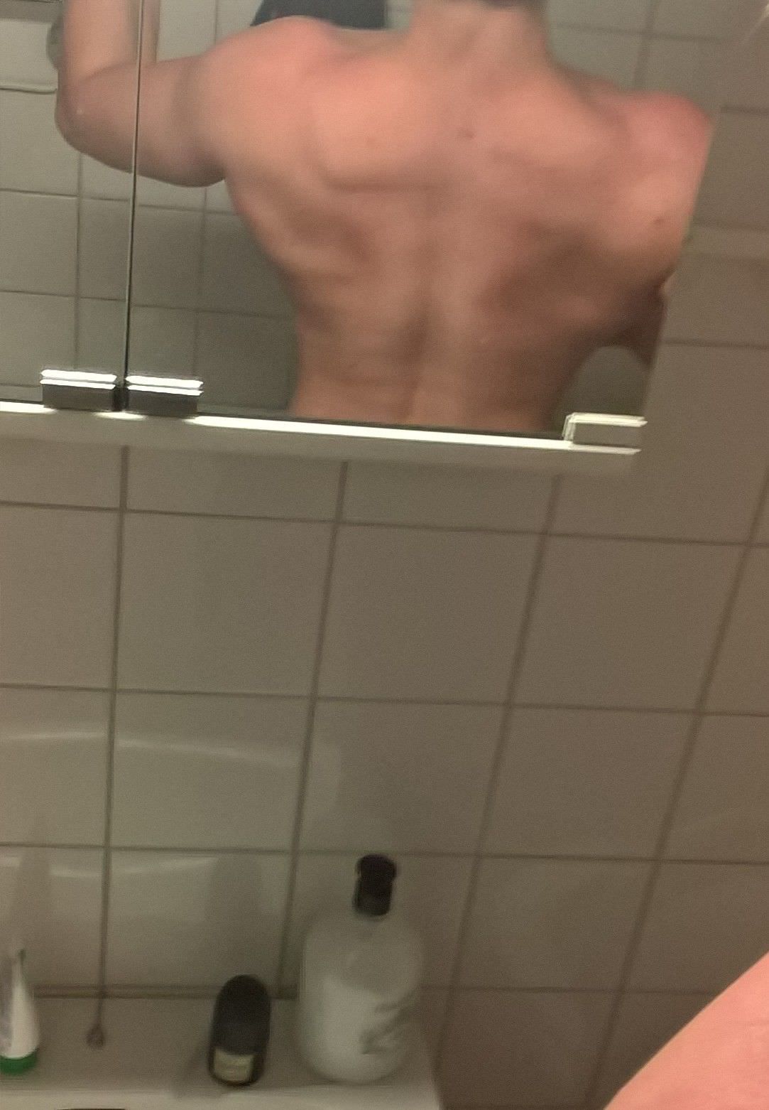 31261