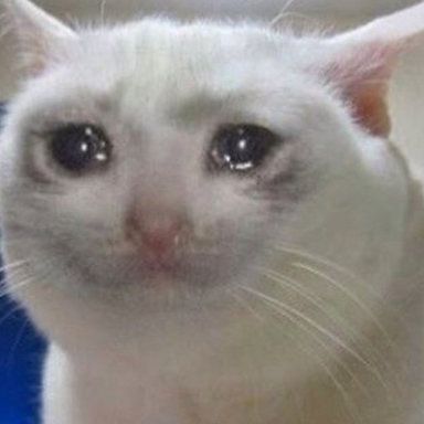 31665