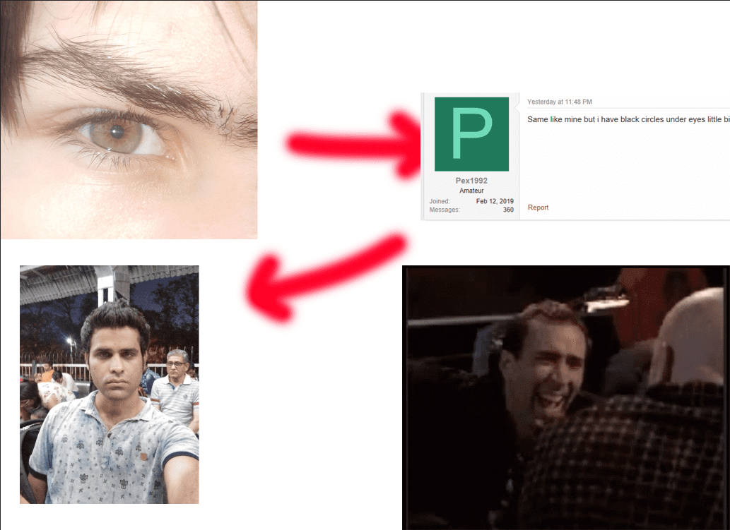 33381 33381