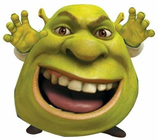 33444