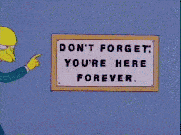33539