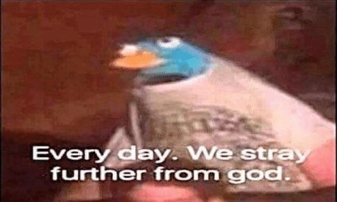 34144