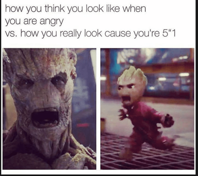 35278 35278
