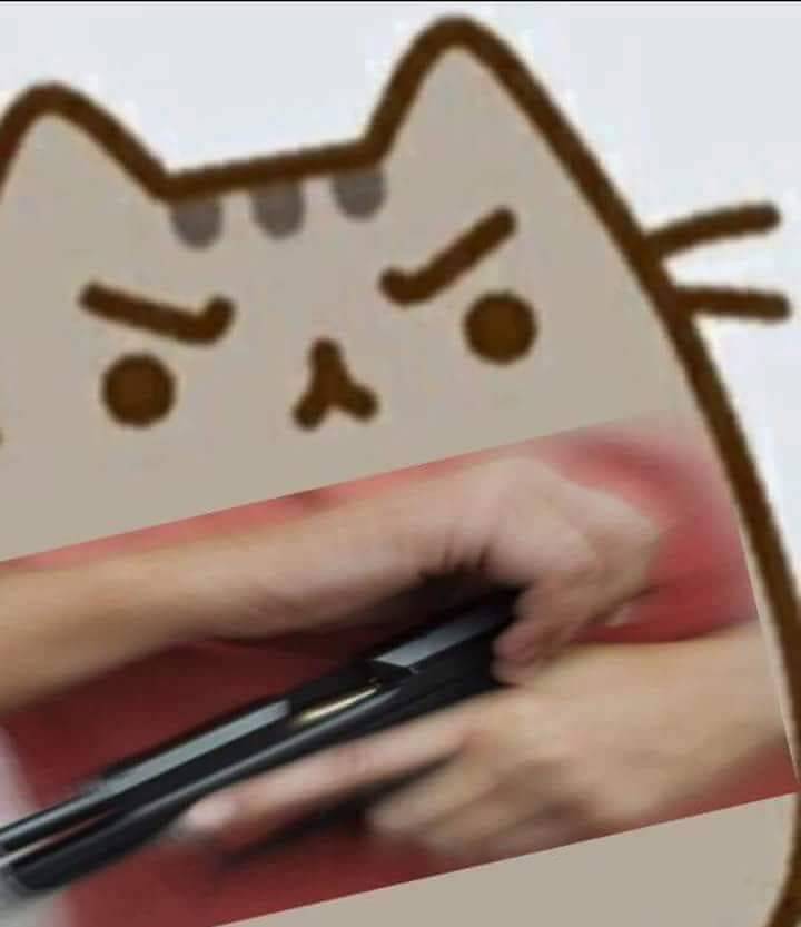 36205