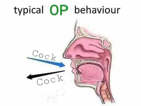 40985