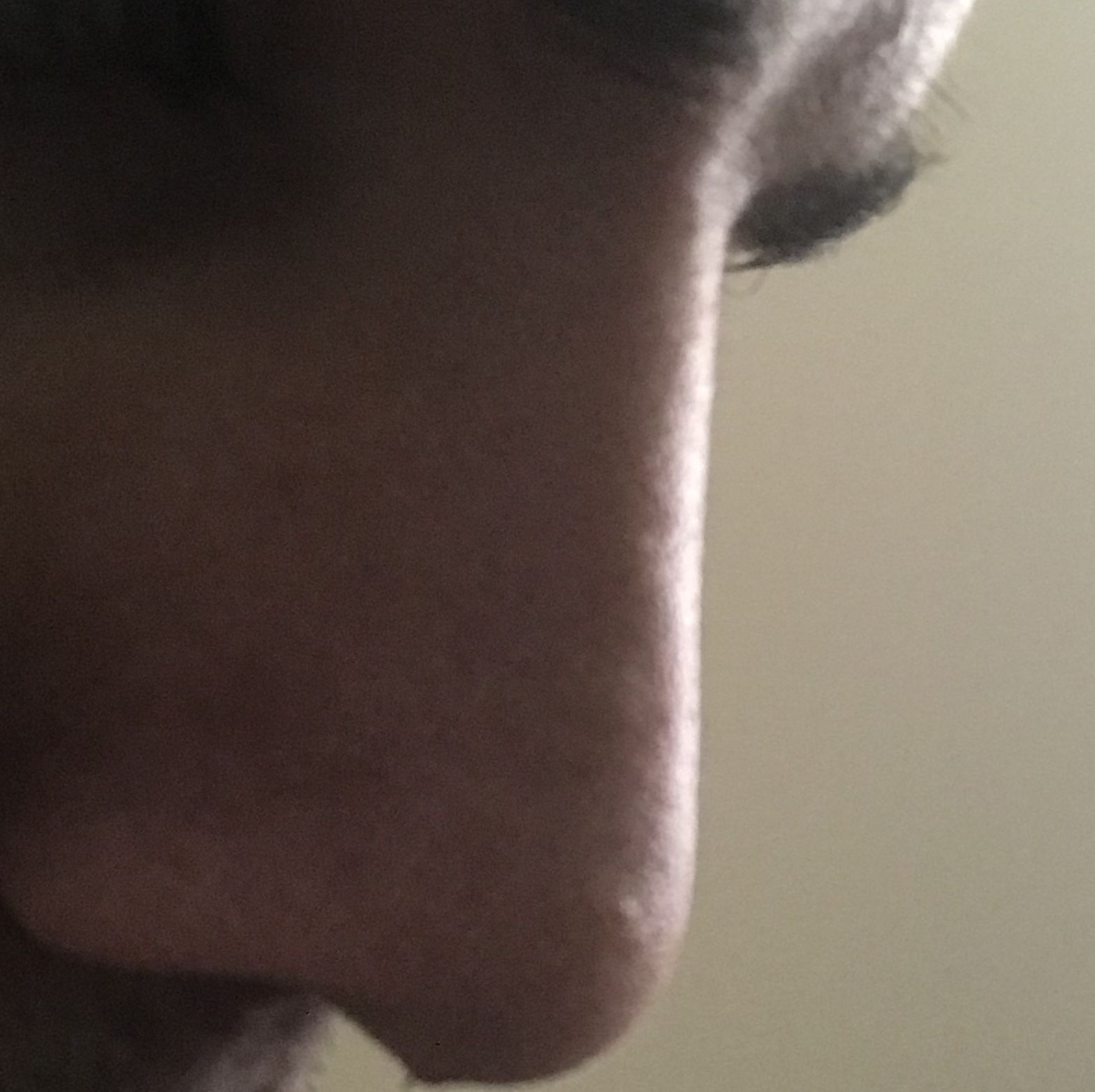 41434 41434
