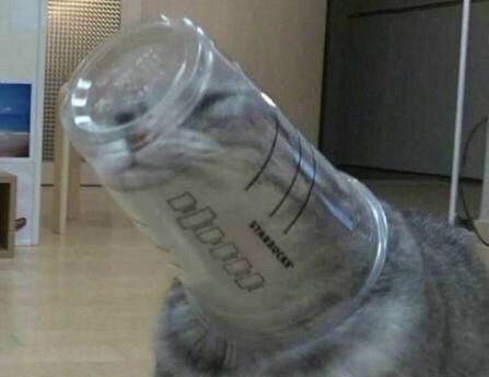 42144