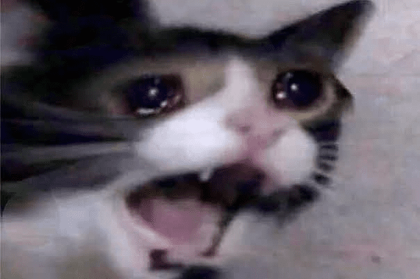 42702