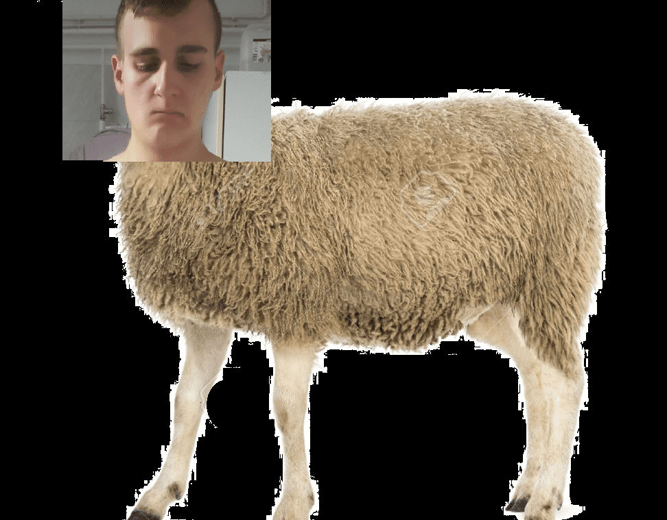 43136