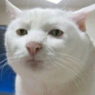 46650