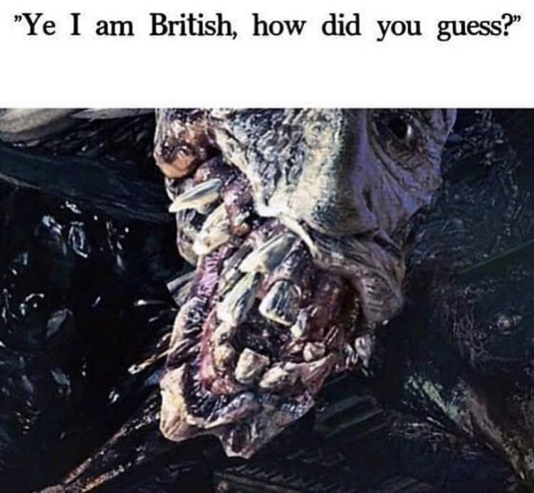 51055