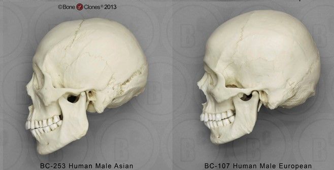 rate my grandfather eye erea | Looksmax.org - Men's Self-Improvement ...