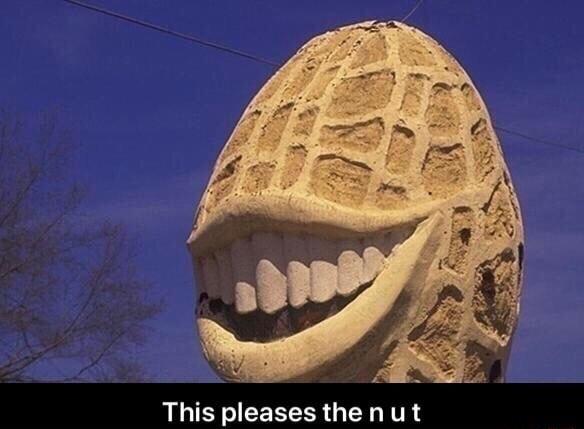 53495