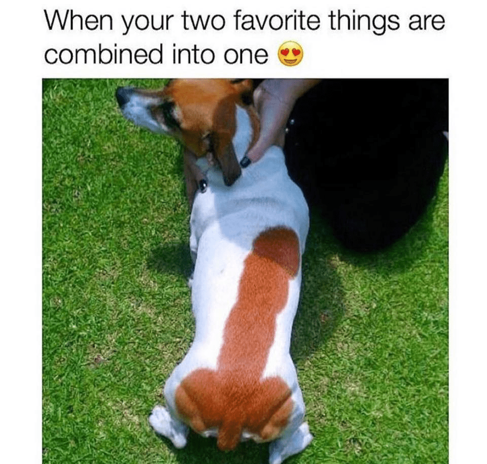60202