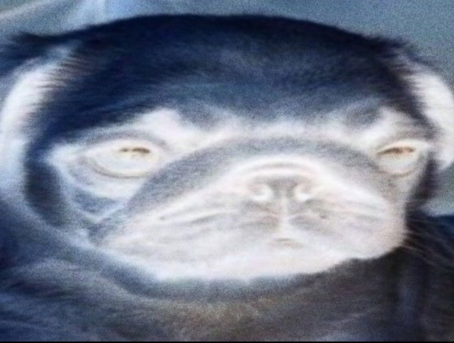 61146
