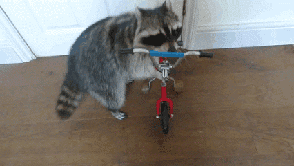 62389