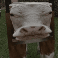 62528