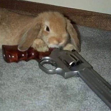 63255