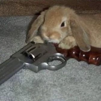 63256