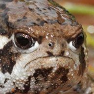 66344