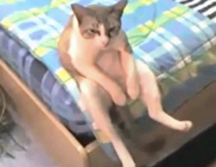 67759