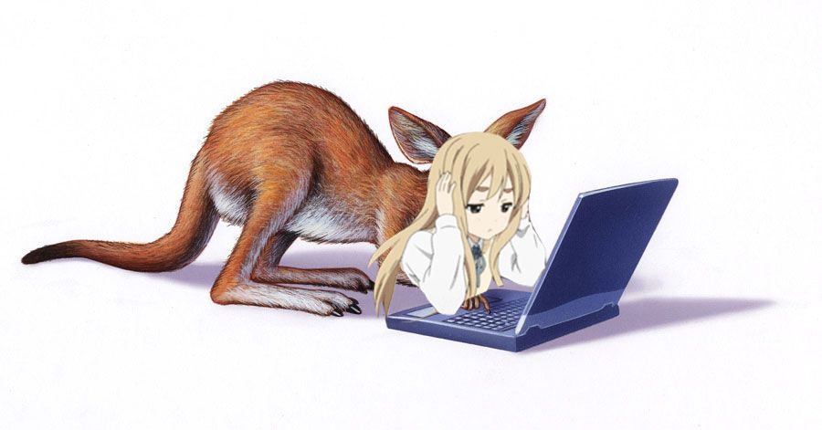 68530