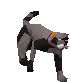 72674