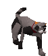 72675