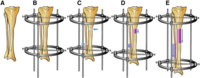 1-s2.0-S1549963414002226-gr1.jpg
