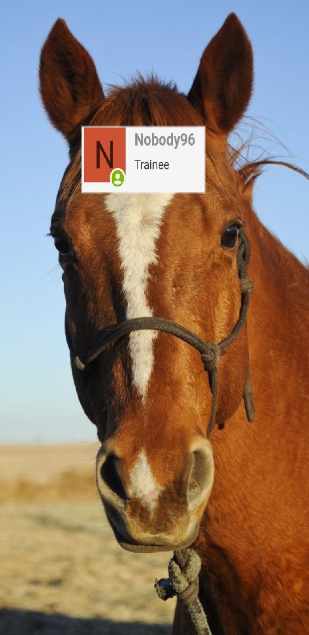 Screenshot 20190710 022652 Gallery