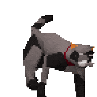 78253