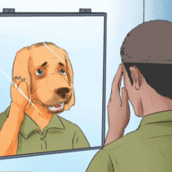 80204
