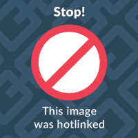 1564091671345