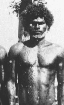 Rate Australoid slayers | Looksmax.org - Men's Self-Improvement ...