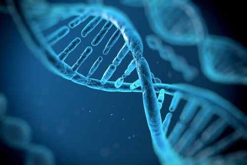 Genetica