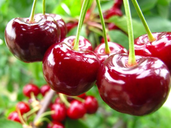 1565258144694 1565258144694